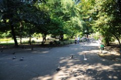 40: 1_DSC_5147_lores