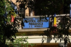 41: 1_DSC_5149_lores