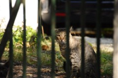 39: 1_DSC_5151_lores