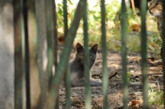 42: 1_DSC_5152_lores