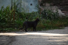 45: 1_DSC_5154_lores