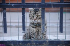 25: 1_DSC_5569_lores