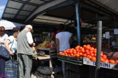 41: 1_DSC_5599_lores