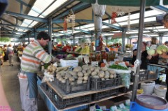 45: 1_DSC_5602_lores