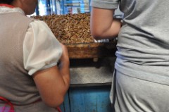 48: 1_DSC_5603_lores