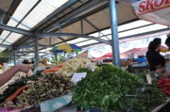 50: 1_DSC_5607_lores