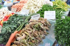 51: 1_DSC_5608_lores