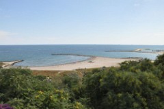 52: 1_DSC_5610_lores