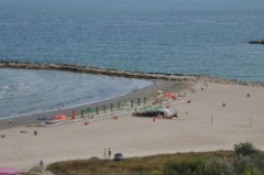 53: 1_DSC_5611_lores