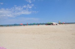 55: 1_DSC_5613_lores