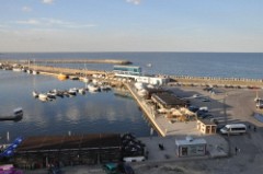 60: 1_DSC_5621_lores