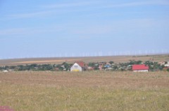 65: 1_DSC_5726_lores