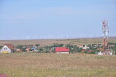 66: 1_DSC_5731_lores