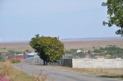 62: 1_DSC_5733_lores