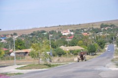 68: 1_DSC_5736_lores