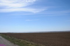 73: 1_DSC_5744_lores