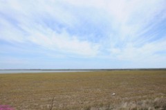 72: 1_DSC_5745_lores