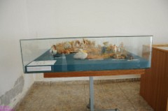 75: 1_DSC_5749_lores