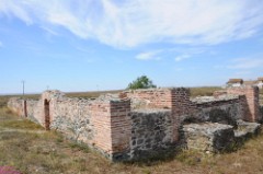 82: 1_DSC_5755_lores