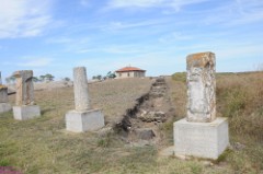 85: 1_DSC_5756_lores