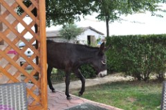 89: 1_DSC_5761_lores