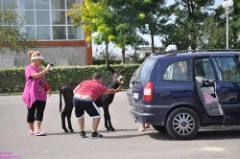 88: 1_DSC_5763_lores