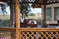 87: 1_DSC_5765_lores