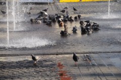 22: 1_DSC_5199_lores