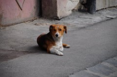 27: 1_DSC_5207_lores