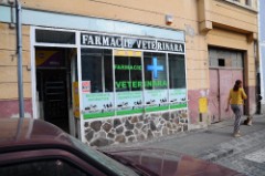 25: 1_DSC_5208_lores