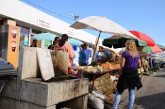 35: 1_DSC_5220_lores