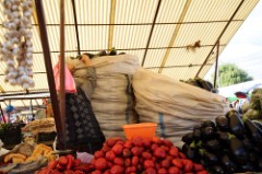 37: 1_DSC_5224_lores