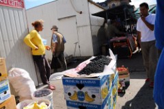 42: 1_DSC_5230_lores