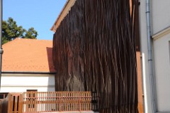 46: 1_DSC_5233_lores