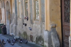 41: 1_DSC_5241_lores