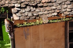 47: 1_DSC_5246_lores