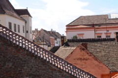 49: 1_DSC_5247_lores