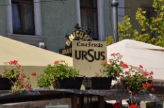 62: 1_DSC_5268_lores