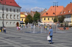 63: 1_DSC_5278_lores