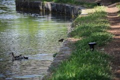 6: DSC_7823_lores - Kopie