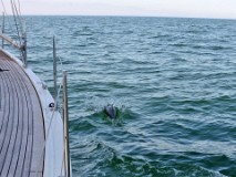 Segeltörn Ostsee Mai 2017