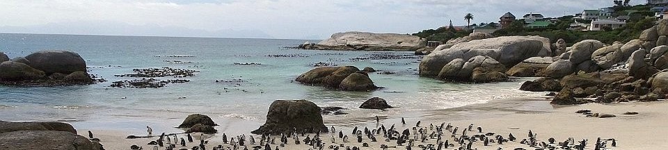 Boulders Beach