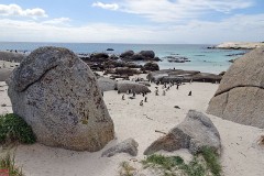 14: 1_DSC00399_lores