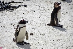 15: 1_DSC00400_lores