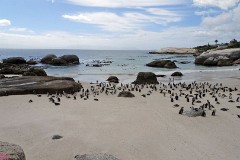 16: 1_DSC00402_lores