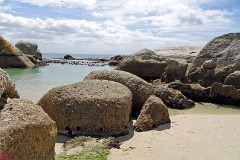 19: 1_DSC00407_lores