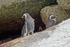 20: 1_DSC00411_lores