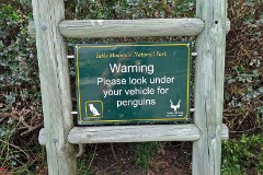 21: 1_DSC00414_lores