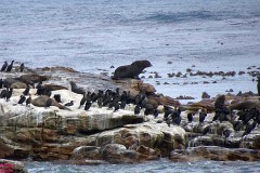 15: 1_DSC00448_lores