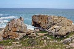 29: 1_DSC00458_lores